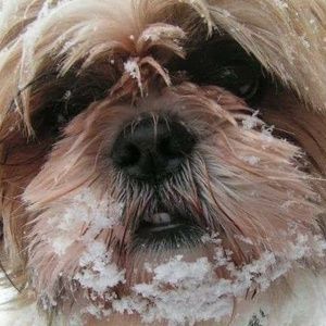 Meet your Posher, Brian